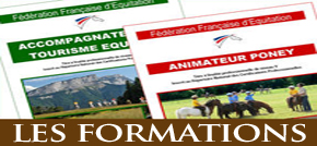 http://www.cre-corse.fr/crte/Les-formations-au-Tourisme-Equestre_a7.html