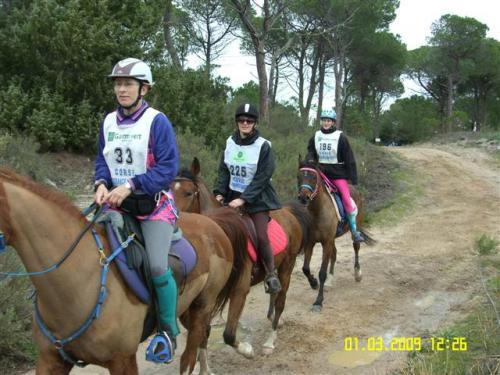 Championnat de Corse 2009 d'Endurance