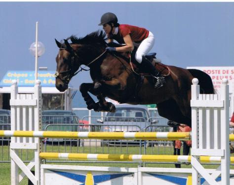 Championnat de France Amateur 2010 de saut d’obstacles