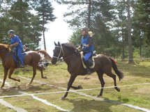 Championnat de France 2010