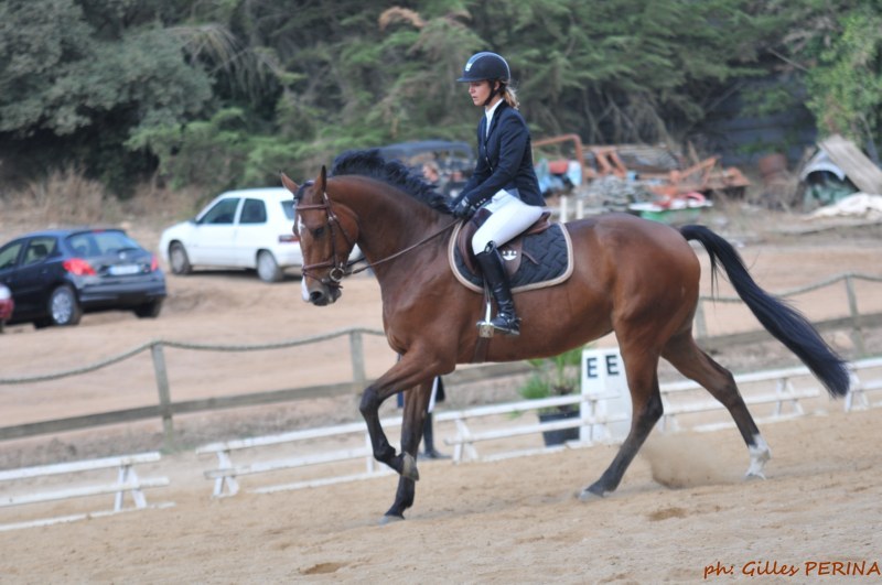 Résultats Dressage Capitoro septembre 2010