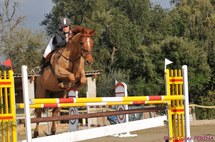 Résultats Pro Amateur du CSO d'Aleria du 5 et 6 Février 2011