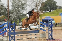 Résultats et Photos du CSO de bastelicaccia du 19 et 20 Février Résultats et Photos du CSO de bastelicaccia du 19 et 20 Février