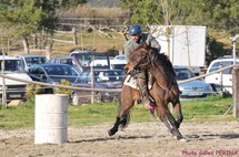 Résultats du concours d'équitation travail du 20 Mars 2011