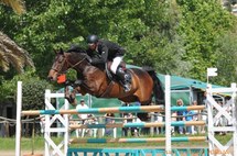 Les sélections pour le championnat de France de Saut d'Obstacles