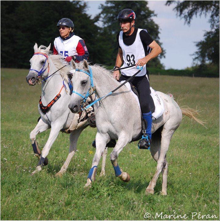 La Corse au EUSTON PARK (GBR) CEI*** Pré-ride des championnats d'Europe 2012