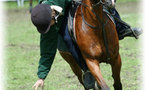 Championnat de Corse 2008 Pony Games