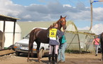 Résultats de la course d'endurance de Compoloro, 17 octobre 2010