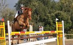 Résultats Pro Amateur du CSO d'Aleria du 5 et 6 Février 2011