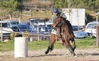 Résultats du concours d'équitation travail du 20 Mars 2011