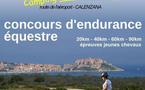 9e concours d'endurance de la saison 2011 (sur 11 concours au total )