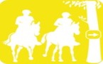 10e concours d'endurance de la saison 2011 (sur 11 concours au total )