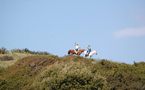 Endurance Equestre à Sagone, un franc succès!