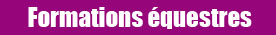 Formations équestres