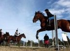 07/03/2016 : Tallone : l’écurie U Baladinu, passion équestre sans obstacle