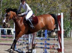 25/04/2016 : CSO AU HARAS DES SABLES Équitation. Laura Benvel au-dessus du lot