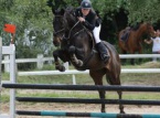08/05/2016 : Concours de saut d'obstacles à Porticcio : De Gentili décroche le groslot