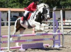 16/05/2016 : Concours de saut d'obstacles Equitation, Envol réussi à Ajaccio