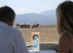 26/06/2016 : Une place au soleil pour le dressage à Lucciana