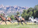 13/08/2016 : Hippisme, une affiche de grand standing à Viseo