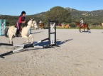 14/11/2016 : Calvi, le hunter, la discipline qui apprend à monter