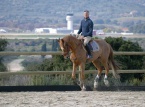 12/02/2017 : Stage de perfectionnement en compagnie d'un medaillé de Rio