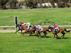 17/04/2017 :  Hippisme, le plein de partants et de chocolats à Prunelli