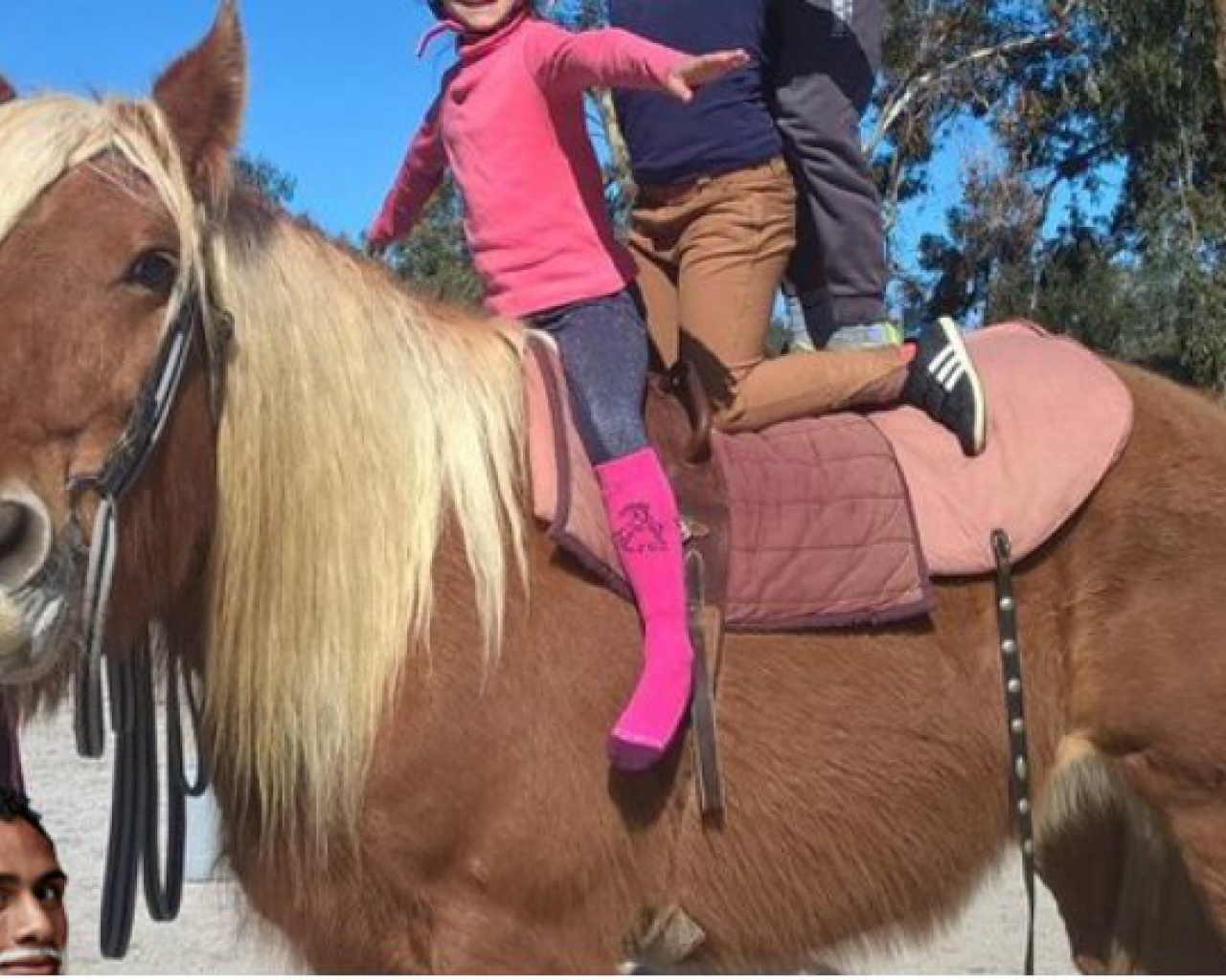 03/06/2018 : La fête du poney à Calvi