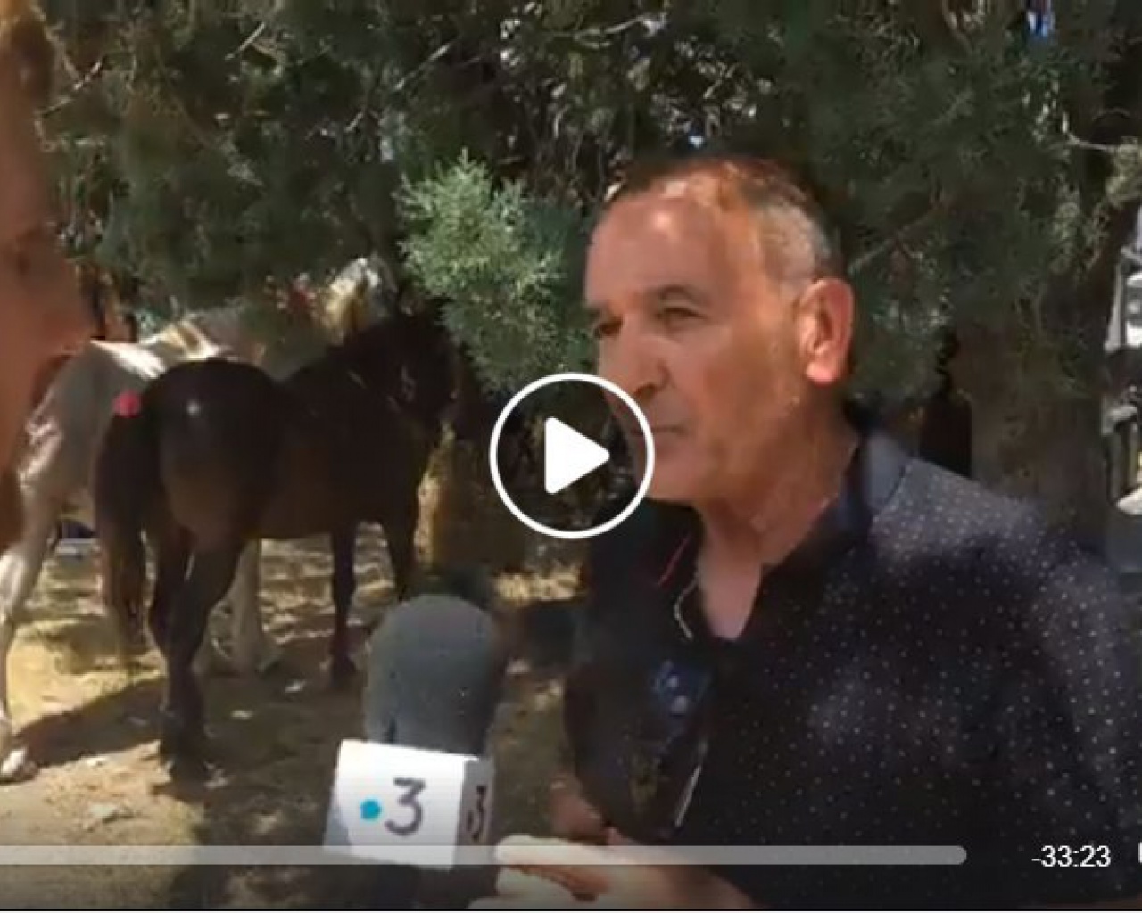 09/06/2018 : Cavall'in Festa 2018