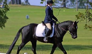 Formation continue FAE-Equiloisirs Formation continue FAE-Equiloisirs