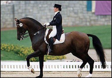 Modification Règlement Dressage Modification Règlement Dressage