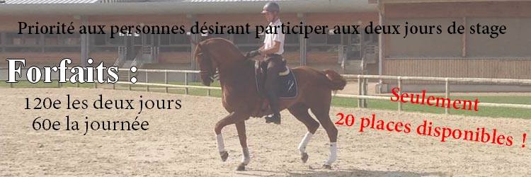Stage Dressage Ecurie Luna d'a Farfalla Stage Dressage Ecurie Luna d'a Farfalla