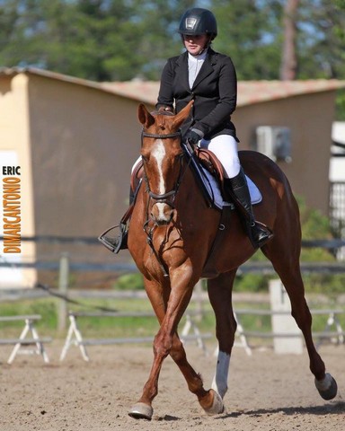 Grand Régional Dressage 2018