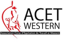 Equitation Western et de Travail Equitation Western et de Travail