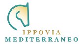 Les autres organes déconcentrés de le FFE en Corse Les autres organes déconcentrés de le FFE en Corse