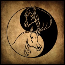 Côte Orientale Côte Orientale