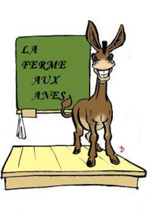 Côte Orientale Côte Orientale