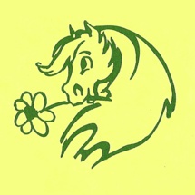 Extrême Sud Extrême Sud