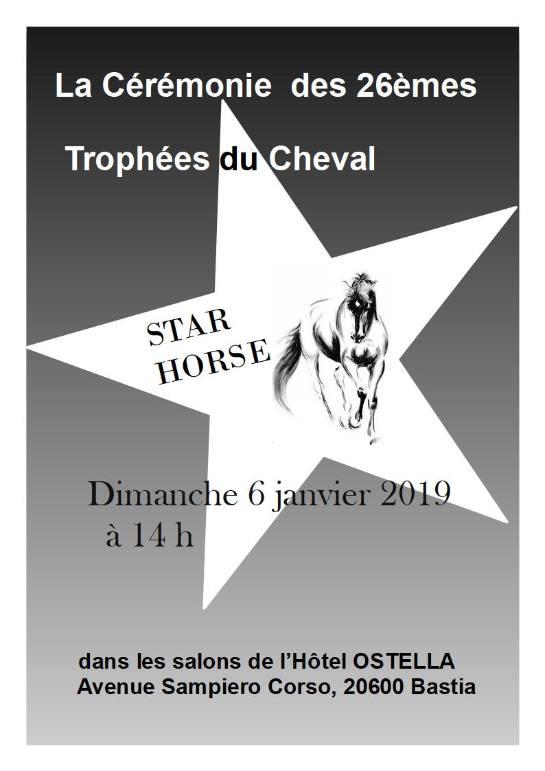 STAR HORSE 2018 STAR HORSE 2018