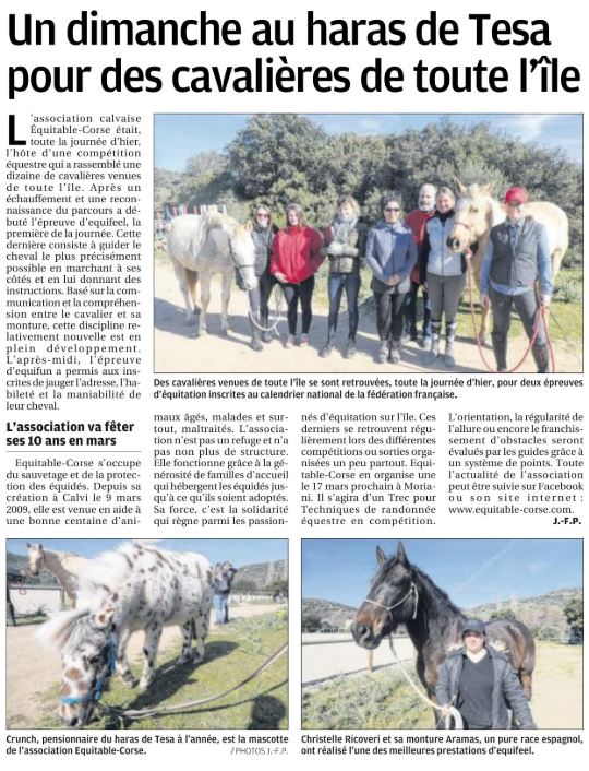 Concours Equifeel et Equifun - dimanche 24 février 2019 - Haras de Tesa Concours Equifeel et Equifun - dimanche 24 février 2019 - Haras de Tesa