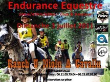 Endurance -Classement provisoire 2011