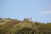 Endurance Equestre à Sagone, un franc succès!