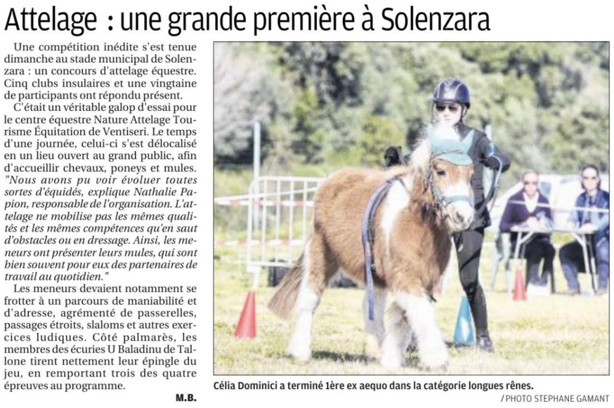 Concours Attelage - 16 février 2020 - Nature Attelage Tourisme Equitation