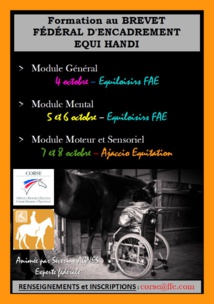 Brevet Fédéral d'Encadrement Equi Handi Brevet Fédéral d'Encadrement Equi Handi