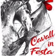 Edition 2023 Edition 2023