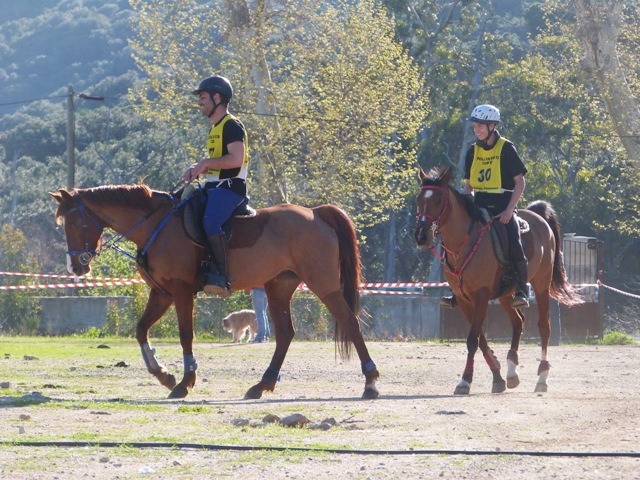 ENDURANCE 2013, c'est parti !