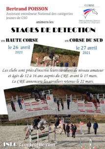 Stages de détection