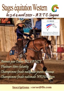 Stages équitation Western