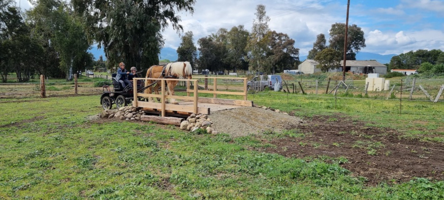 Stage TREC en attelage avec Ken POSTE - 22 avril 2021