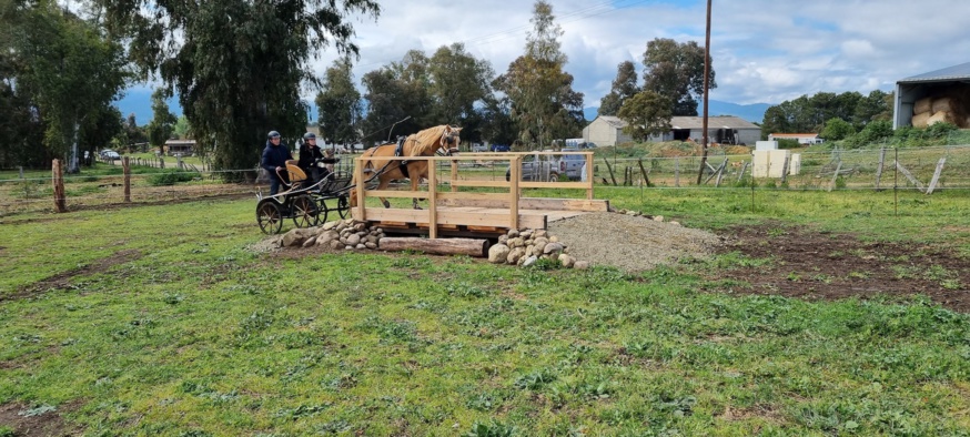 Stage TREC en attelage avec Ken POSTE - 22 avril 2021